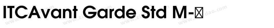 ITCAvant Garde Std M字体转换